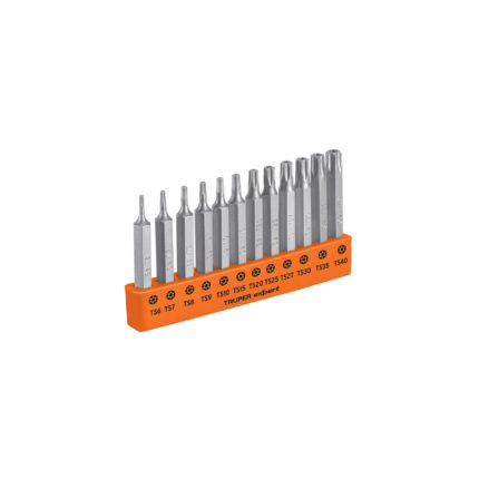 Juego de 12 puntas torx combinadas c/seguro largo 2", Expert