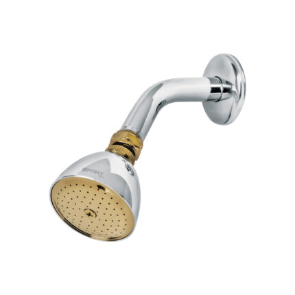 Regadera cónica 2-1/2" cromo-oro brazo y chapetón acero