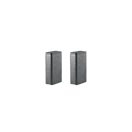 Bolsa con 2 carbones de repuesto para ROTO-1/2N9, TRUPER