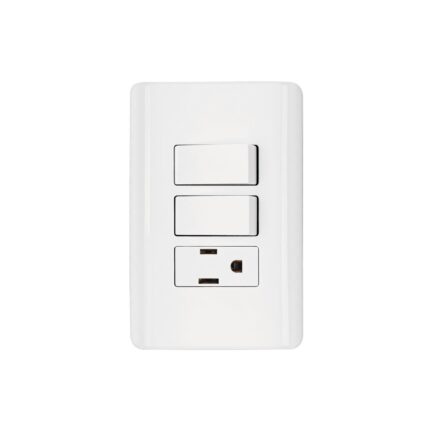 Placa armada con contacto y 2 interruptores sencillos, BASIC